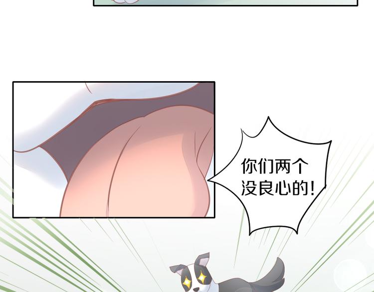 猫爪之下韩漫全集-第143话 腮红鹦鹉无删减无遮挡章节图片 