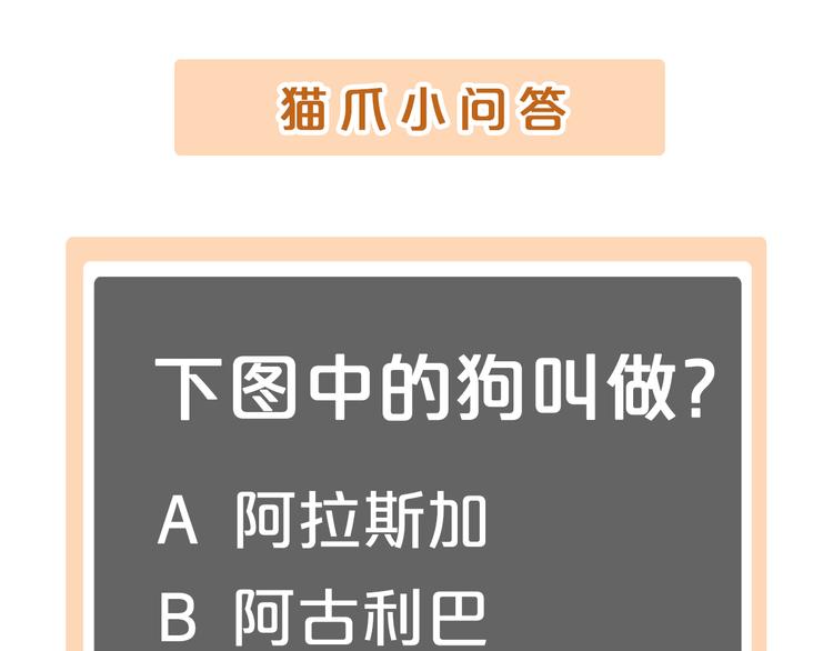 猫爪之下韩漫全集-第143话 腮红鹦鹉无删减无遮挡章节图片 
