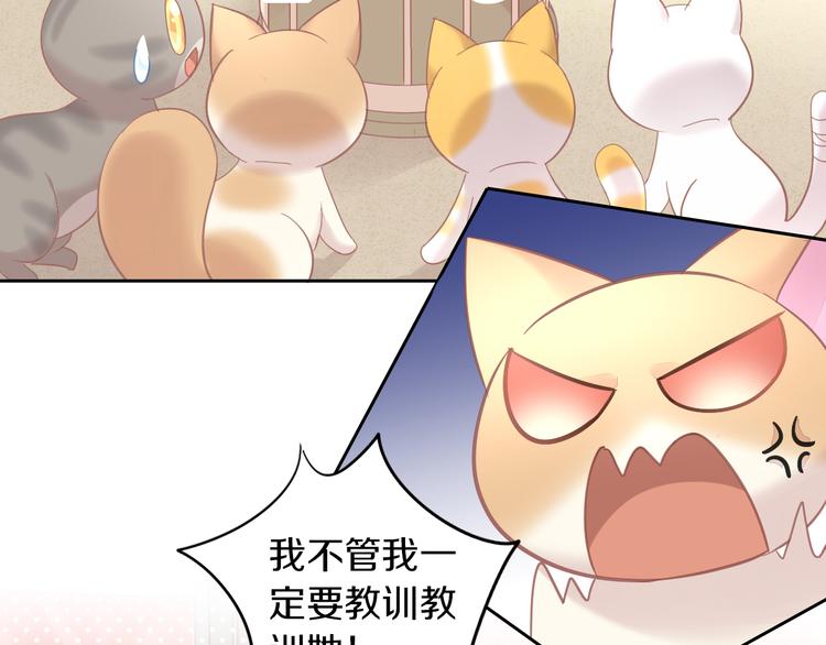 猫爪之下韩漫全集-第144话 空陆大战无删减无遮挡章节图片 