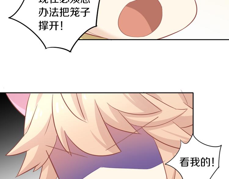 猫爪之下韩漫全集-第144话 空陆大战无删减无遮挡章节图片 