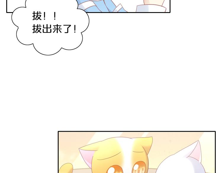 猫爪之下韩漫全集-第144话 空陆大战无删减无遮挡章节图片 
