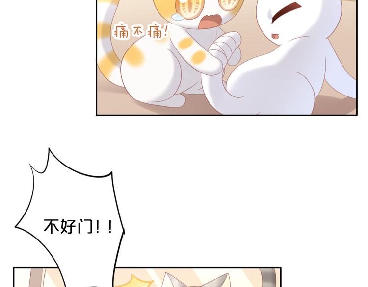 猫爪之下韩漫全集-第144话 空陆大战无删减无遮挡章节图片 