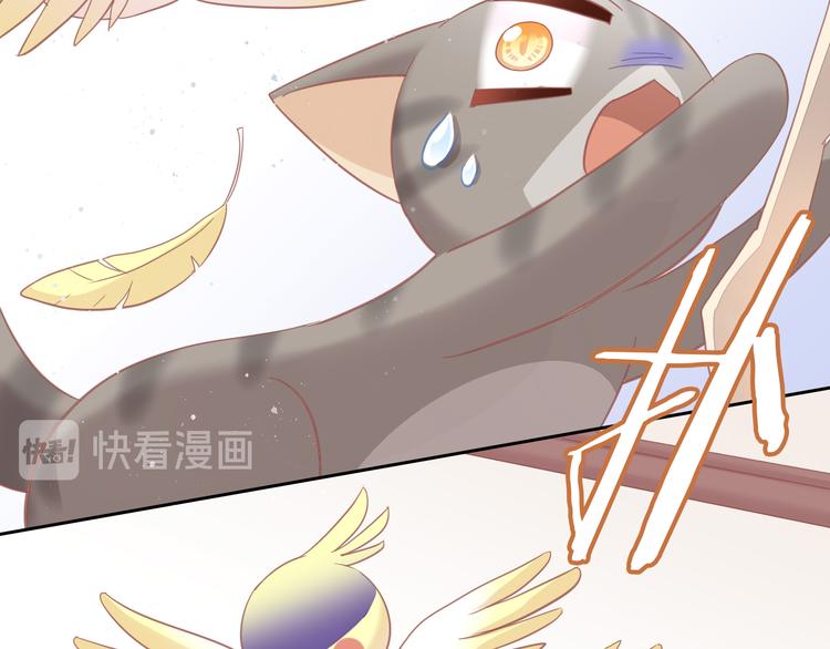 猫爪之下韩漫全集-第144话 空陆大战无删减无遮挡章节图片 