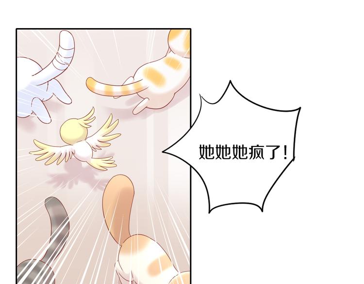 猫爪之下韩漫全集-第144话 空陆大战无删减无遮挡章节图片 