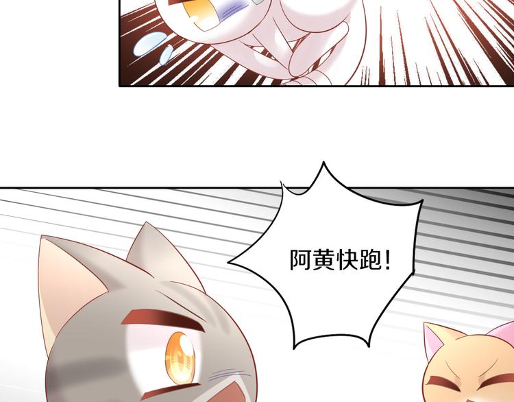 猫爪之下韩漫全集-第144话 空陆大战无删减无遮挡章节图片 