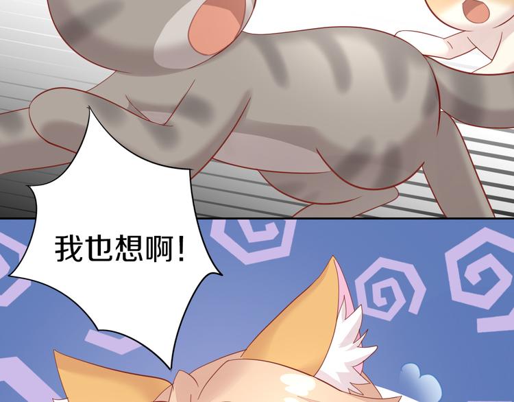 猫爪之下韩漫全集-第144话 空陆大战无删减无遮挡章节图片 