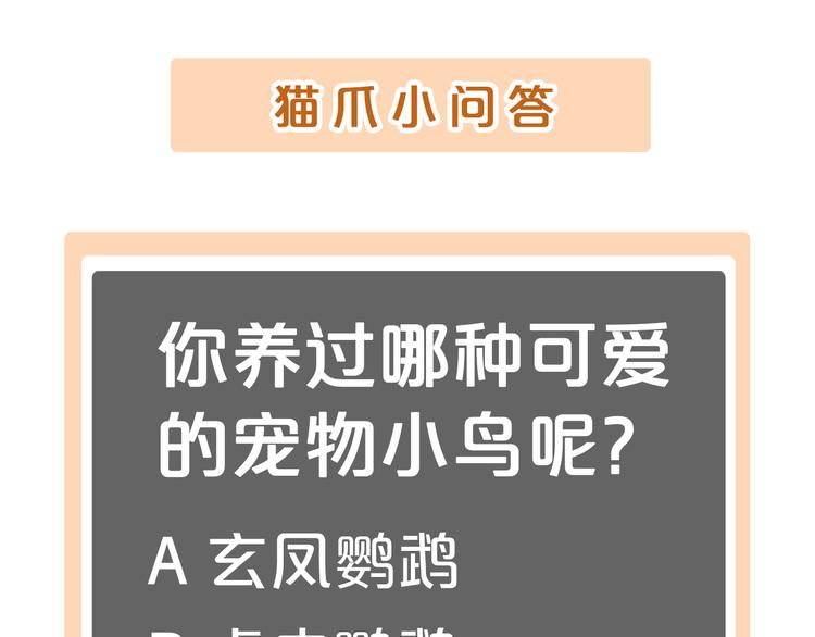 猫爪之下韩漫全集-第144话 空陆大战无删减无遮挡章节图片 