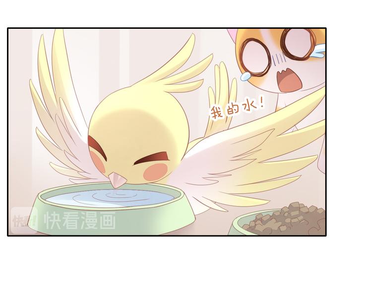 猫爪之下韩漫全集-第145话 洗香香无删减无遮挡章节图片 