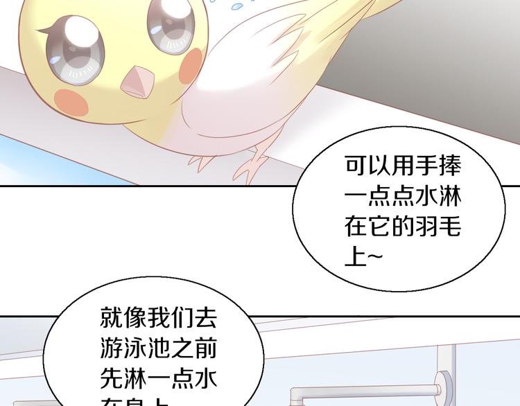 猫爪之下韩漫全集-第145话 洗香香无删减无遮挡章节图片 