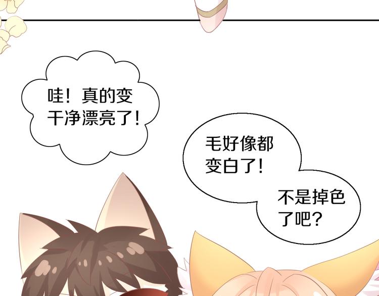 猫爪之下韩漫全集-第145话 洗香香无删减无遮挡章节图片 