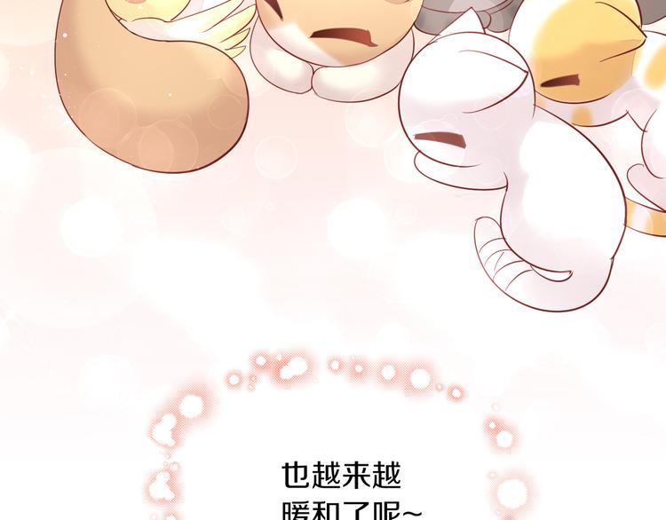 猫爪之下韩漫全集-第145话 洗香香无删减无遮挡章节图片 