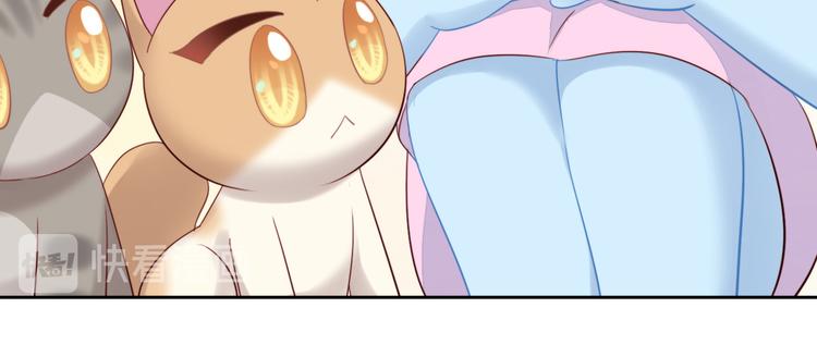 猫爪之下韩漫全集-第146话 皮卡的梦想无删减无遮挡章节图片 