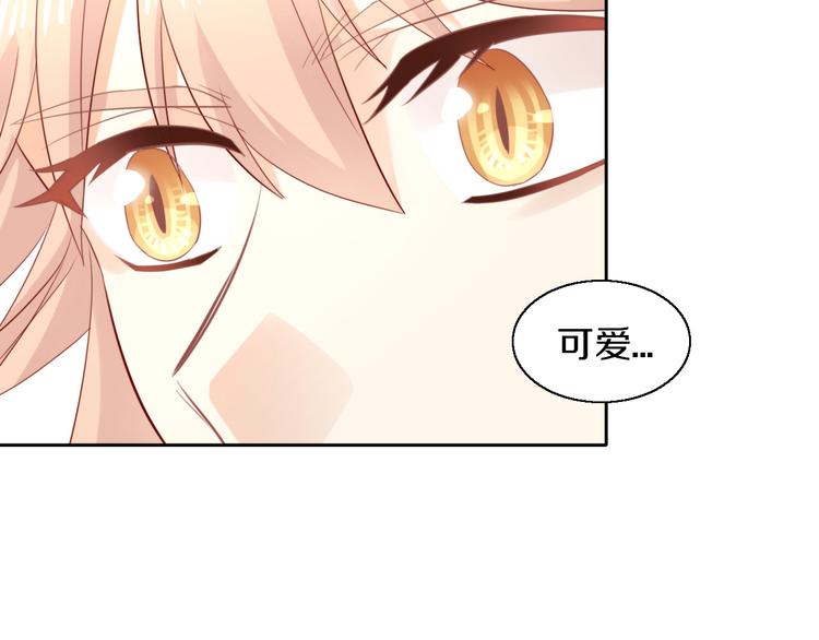 猫爪之下韩漫全集-第146话 皮卡的梦想无删减无遮挡章节图片 