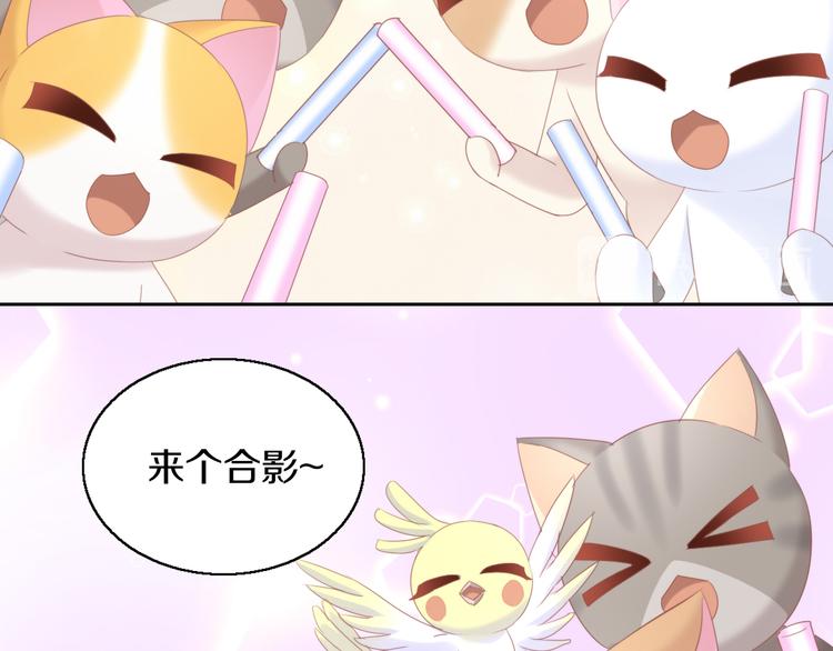 猫爪之下韩漫全集-第146话 皮卡的梦想无删减无遮挡章节图片 