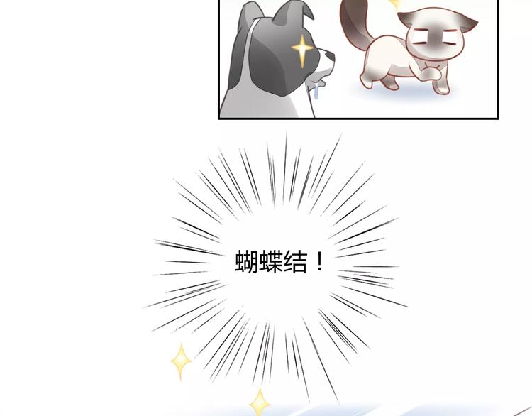 猫爪之下韩漫全集-第16话  陷入恋情无删减无遮挡章节图片 