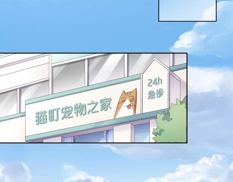 猫爪之下韩漫全集-第16话  陷入恋情无删减无遮挡章节图片 