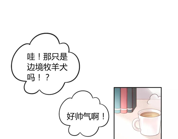 猫爪之下韩漫全集-第16话  陷入恋情无删减无遮挡章节图片 
