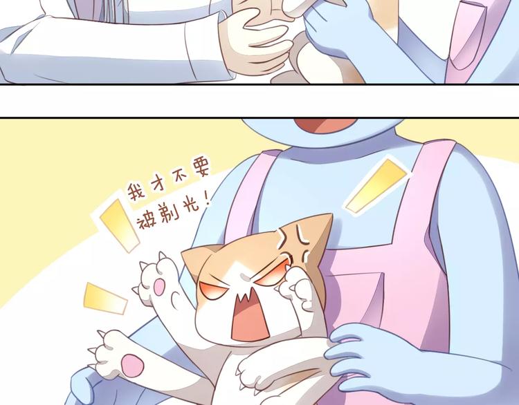 猫爪之下韩漫全集-第16话  陷入恋情无删减无遮挡章节图片 