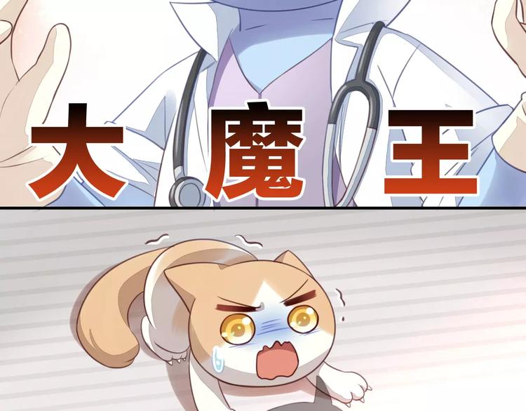 猫爪之下韩漫全集-第16话  陷入恋情无删减无遮挡章节图片 