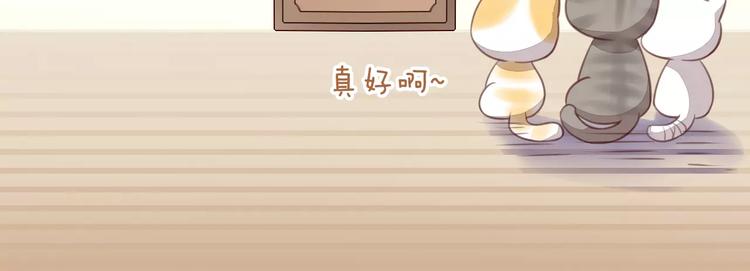 猫爪之下韩漫全集-第16话  陷入恋情无删减无遮挡章节图片 