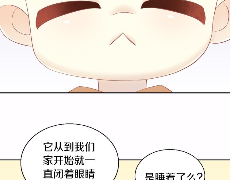 猫爪之下韩漫全集-第151话 闭与睁无删减无遮挡章节图片 