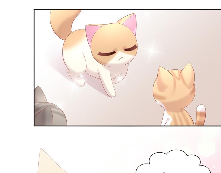 猫爪之下韩漫全集-第151话 闭与睁无删减无遮挡章节图片 