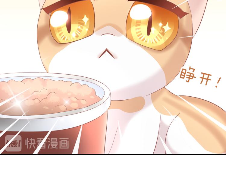 猫爪之下韩漫全集-第151话 闭与睁无删减无遮挡章节图片 