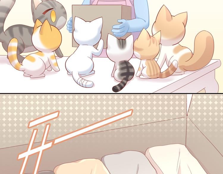 猫爪之下韩漫全集-第152话 捏它！陶泥手作！无删减无遮挡章节图片 
