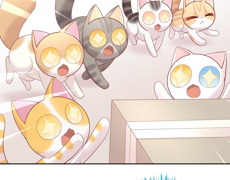 猫爪之下韩漫全集-第152话 捏它！陶泥手作！无删减无遮挡章节图片 
