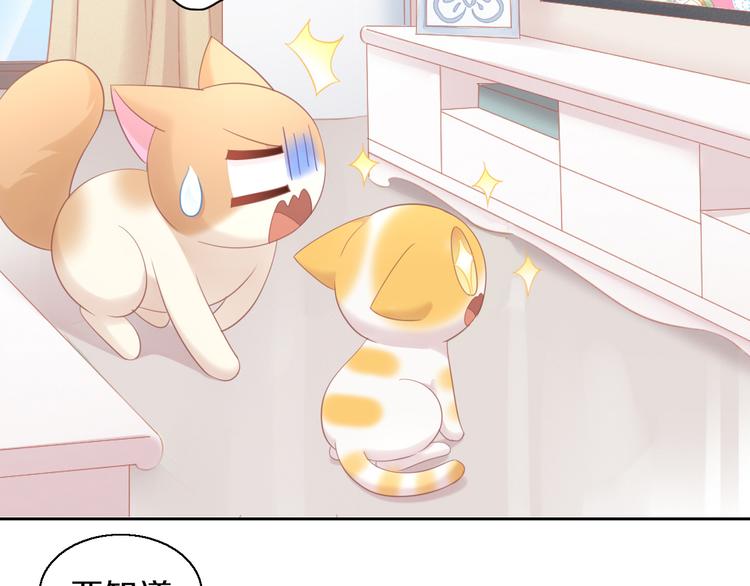 猫爪之下韩漫全集-第153话 奶茶无删减无遮挡章节图片 