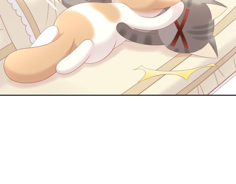 猫爪之下韩漫全集-第154话 夏日大作战无删减无遮挡章节图片 