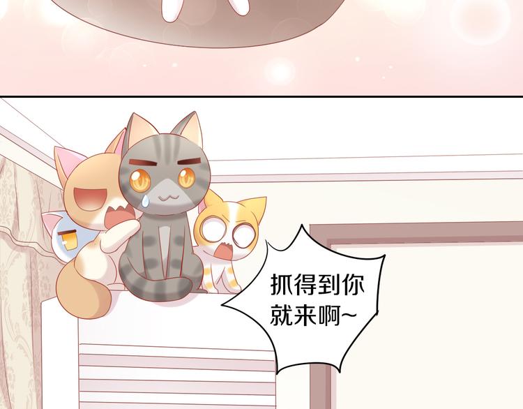 猫爪之下韩漫全集-第154话 夏日大作战无删减无遮挡章节图片 