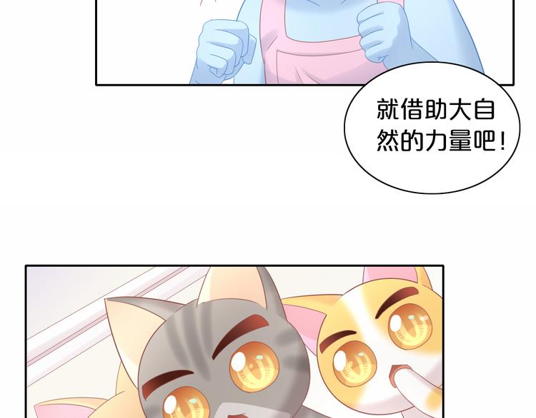 猫爪之下韩漫全集-第154话 夏日大作战无删减无遮挡章节图片 