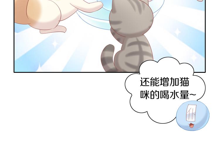 猫爪之下韩漫全集-第154话 夏日大作战无删减无遮挡章节图片 