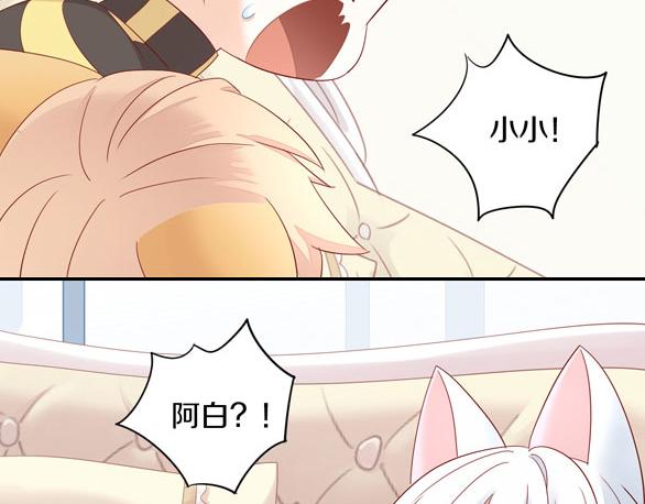 猫爪之下韩漫全集-第154话 夏日大作战无删减无遮挡章节图片 