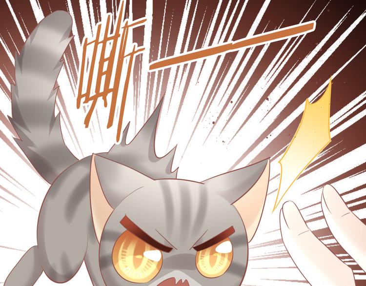 猫爪之下韩漫全集-第155话 梦魇之茶（一）无删减无遮挡章节图片 