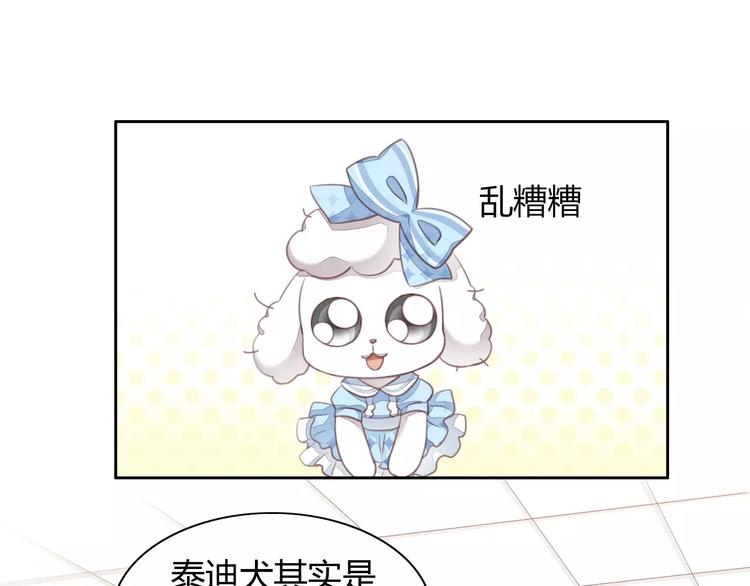 猫爪之下韩漫全集-第17话  失恋来得太快无删减无遮挡章节图片 