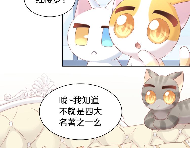 猫爪之下韩漫全集-第164话 红楼味道无删减无遮挡章节图片 