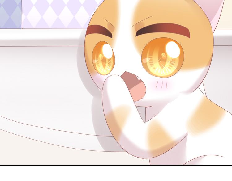 猫爪之下韩漫全集-第167话 疯狂的蛋糕无删减无遮挡章节图片 
