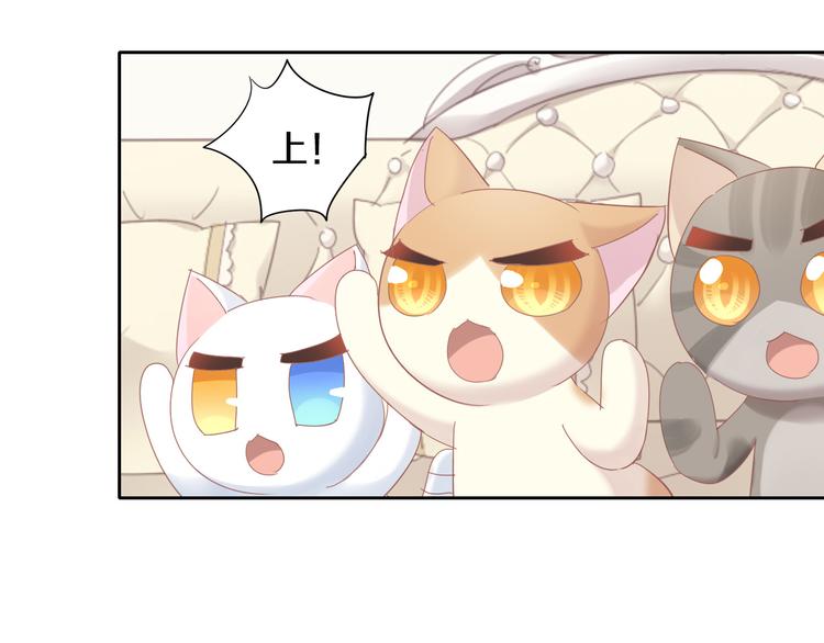 猫爪之下韩漫全集-第167话 疯狂的蛋糕无删减无遮挡章节图片 