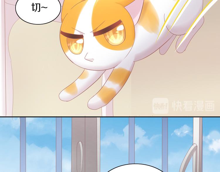 猫爪之下韩漫全集-第167话 疯狂的蛋糕无删减无遮挡章节图片 