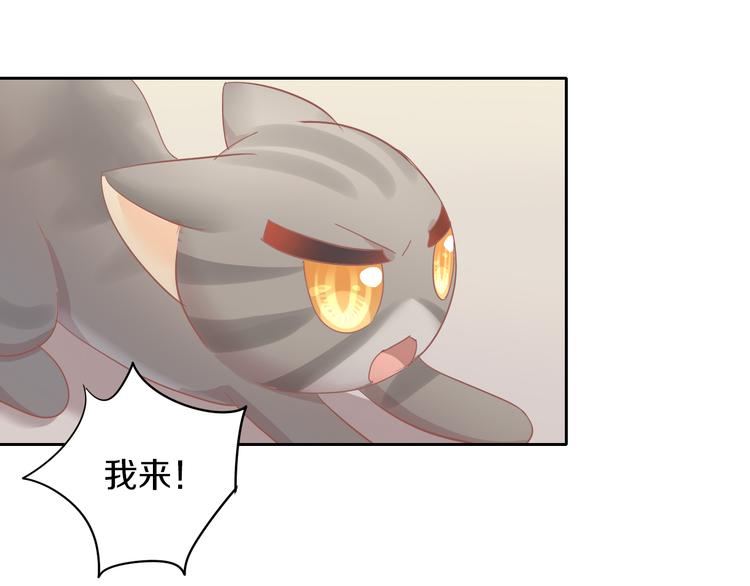 猫爪之下韩漫全集-第167话 疯狂的蛋糕无删减无遮挡章节图片 