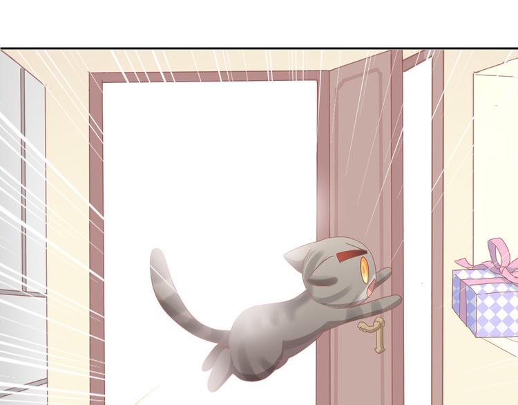 猫爪之下韩漫全集-第167话 疯狂的蛋糕无删减无遮挡章节图片 