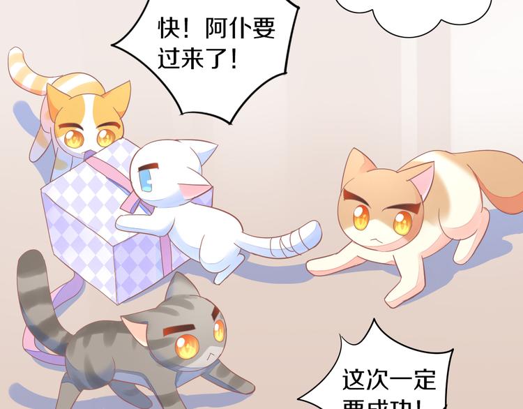 猫爪之下韩漫全集-第167话 疯狂的蛋糕无删减无遮挡章节图片 