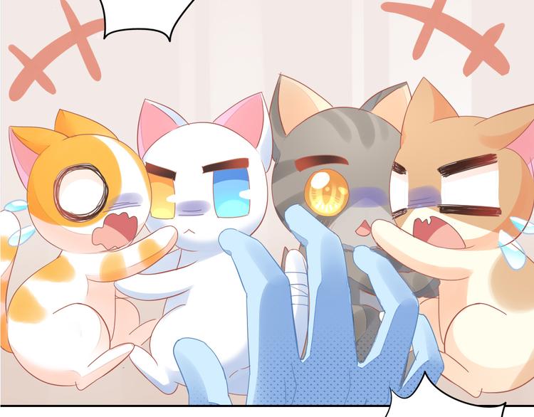 猫爪之下韩漫全集-第167话 疯狂的蛋糕无删减无遮挡章节图片 
