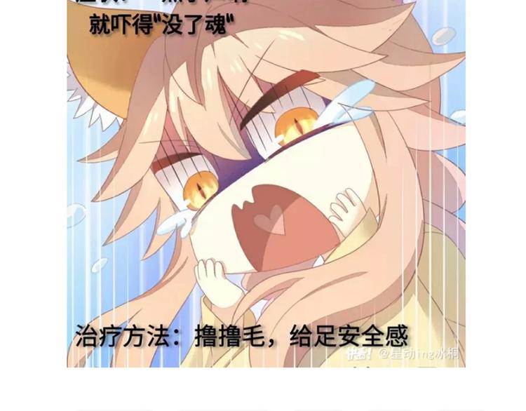 猫爪之下韩漫全集-第167话 疯狂的蛋糕无删减无遮挡章节图片 