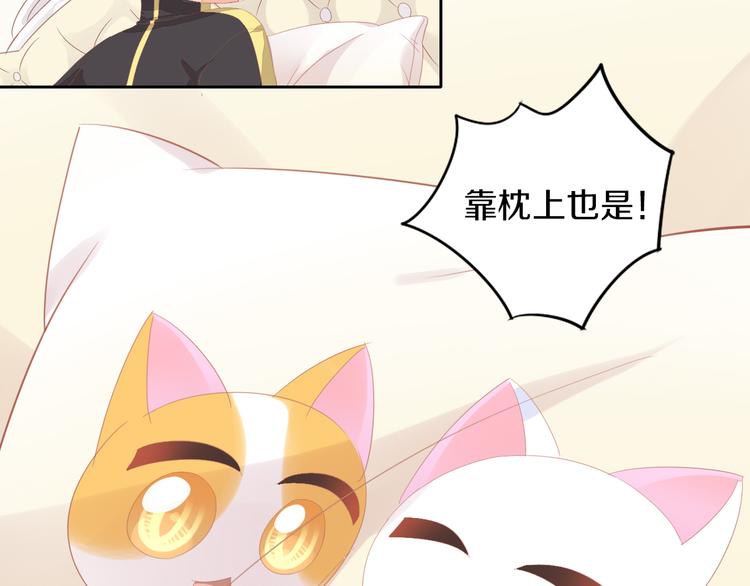 猫爪之下韩漫全集-第168话 定制周边风波无删减无遮挡章节图片 