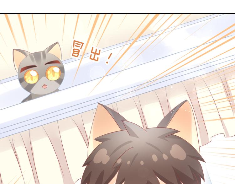 猫爪之下韩漫全集-第169话 躲猫猫无删减无遮挡章节图片 