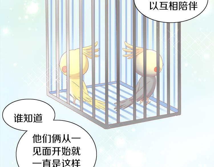 猫爪之下韩漫全集-第170话 皮卡和小智无删减无遮挡章节图片 