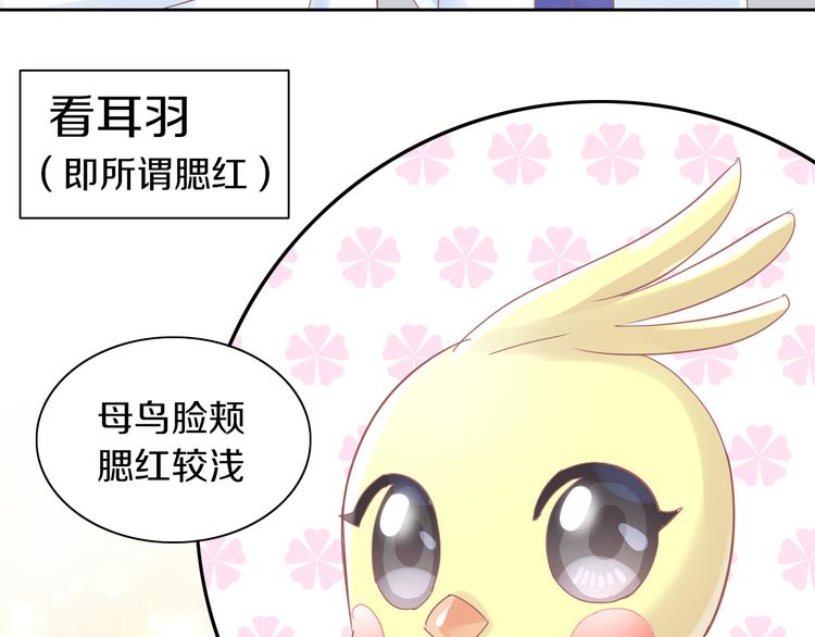 猫爪之下韩漫全集-第170话 皮卡和小智无删减无遮挡章节图片 